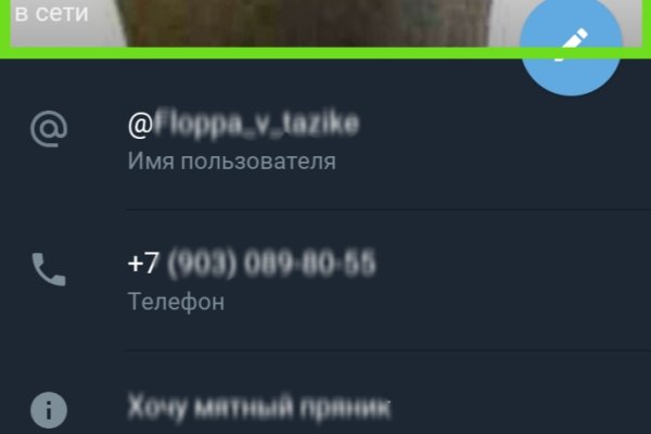 Kraken найдется все