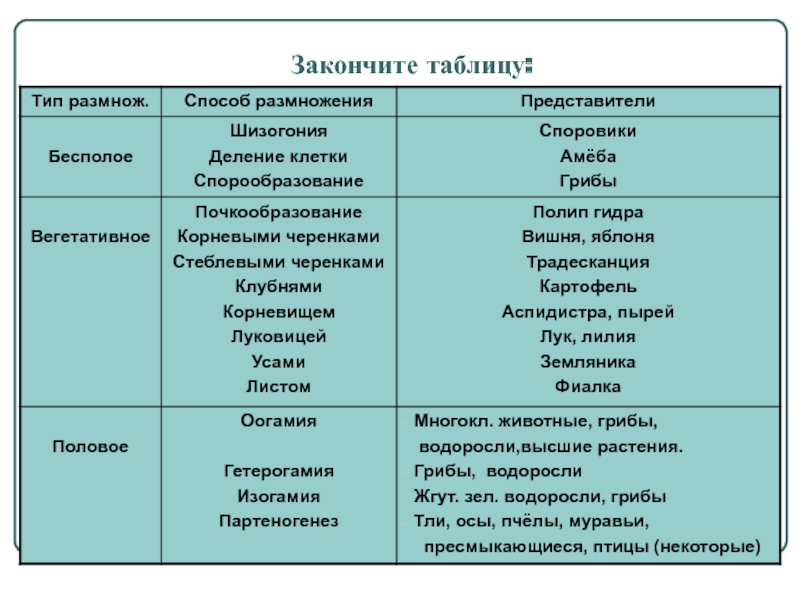 Kraken 15at сайт